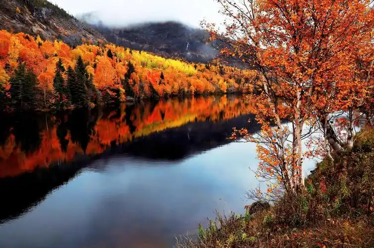美丽的秋天壁纸,高清图片,壁纸,自然风景-桌面城市