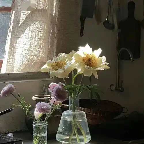 背景图 | 专属于小仙女的ins温柔风背景图 676767