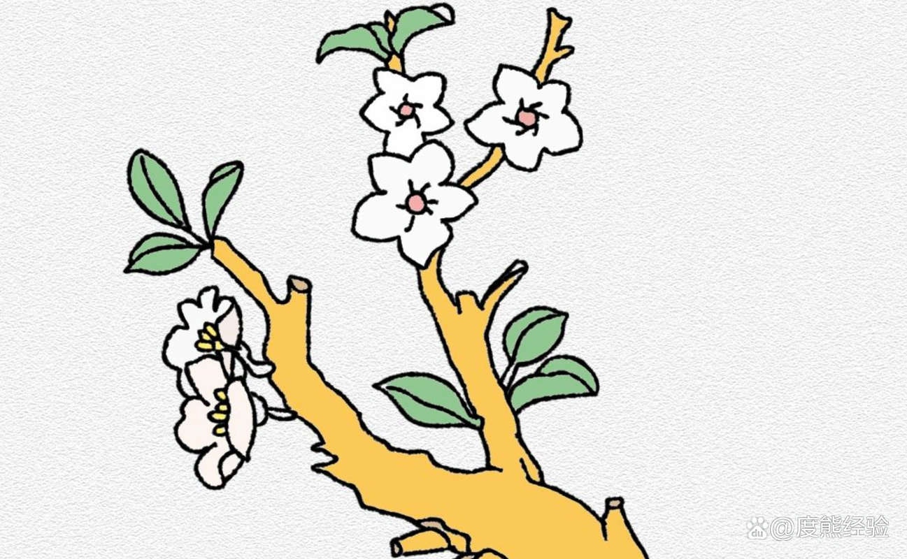 如何简单的画杏花(易学)
