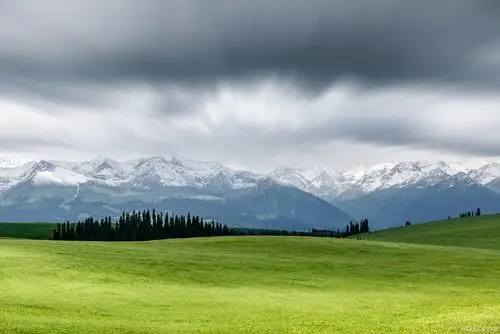 区"网络成员,1997年晋升为国家级,主要保护对象为草甸草原,典型草原