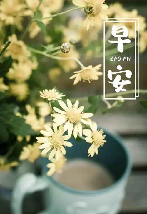 2022早安带字图片