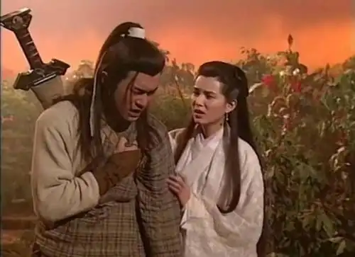 早期战绩有:在黄蓉指点下击败霍都和达尔巴,和小龙女携手战平金轮法王