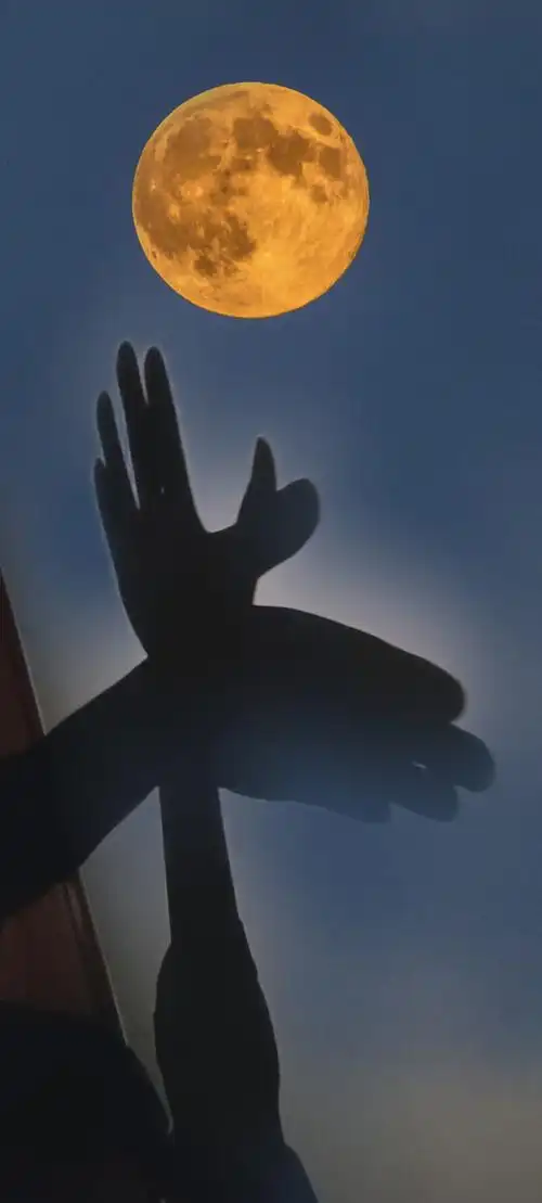 影子游戏万物皆由心生真真假假假假真真