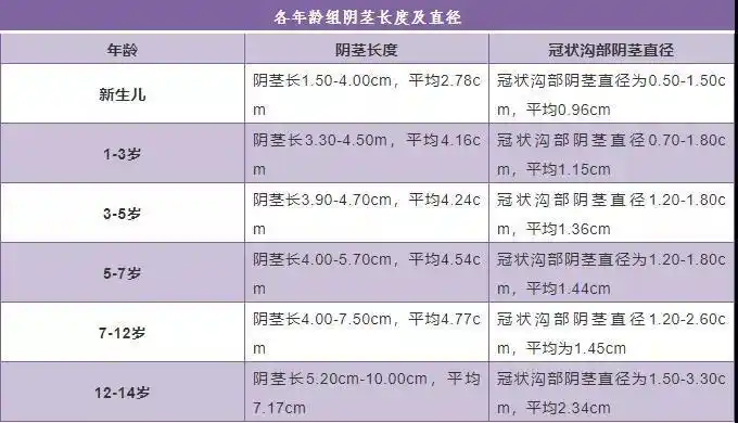 0-10岁儿童,正常情况下丁丁的发育变化 - 好大夫在线