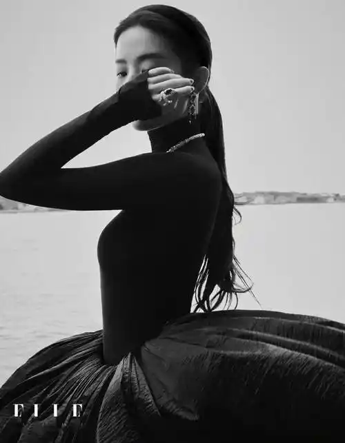 刘亦菲《elle》金九封面大片,华贵造型宛如出逃公主_东方_黑衣_黑发