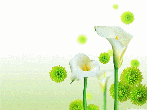 我也试哈子——两只蝴蝶