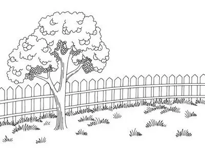 园林图黑色白色景观苹果树素描插画矢量梨和苹果果实素描手绘素描果青