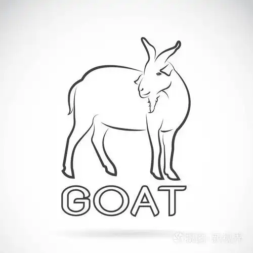 插画 一只山羊在白色背景上的向量.野生动物.eps