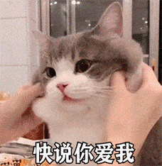 让你不回消息 猫和老鼠动图表情包发出小草的声音 请你自信一点那就没