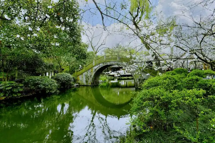 西湖春色七拍摄于杭州曲院风荷