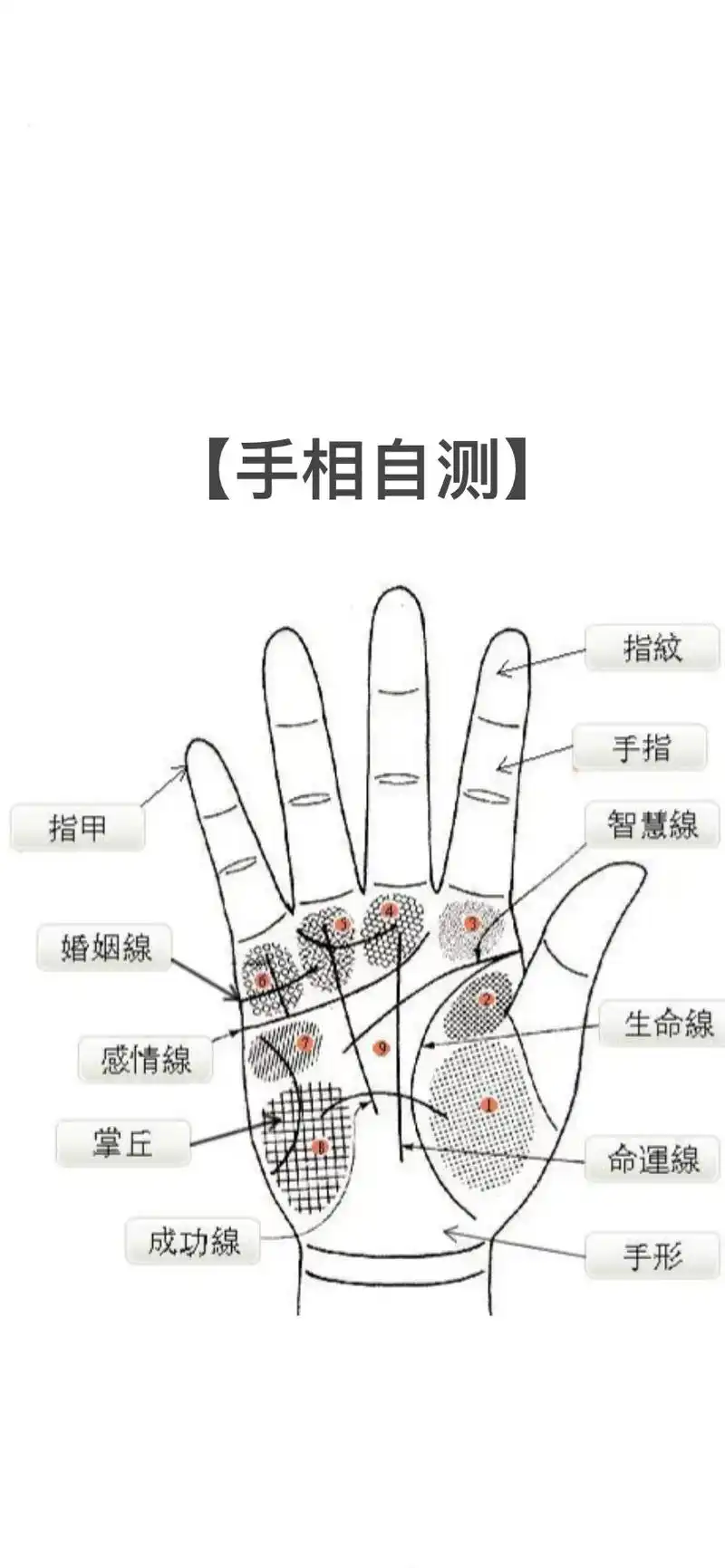 【手相自测】有的人总是接二连三的遭遇失败,即使一次比一次用心 - 抖