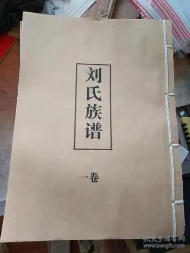 彭城堂 刘氏族谱 一套十卷 共十册