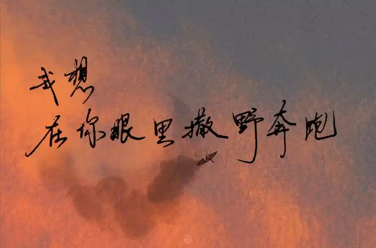 在你眼里撒野奔跑"