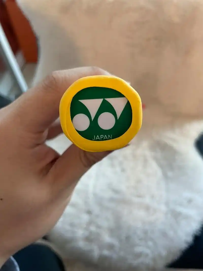 羽毛球入坑记 第一把拍子 林丹老豆腐水晶红 第一把拍子 尤尼克斯