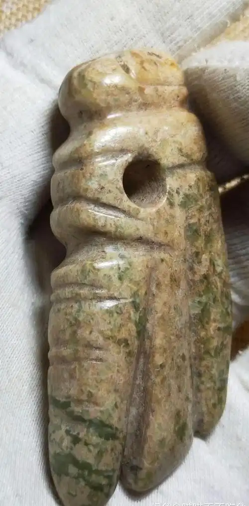 红山文化玉蚂蚱的真,假对比