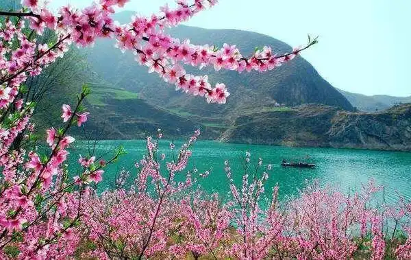 三生三世,十里桃花