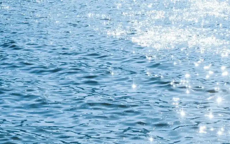 唯美意境,护眼壁纸,小清新,植物,唯美,护眼,电脑壁纸,壁纸简约小清新