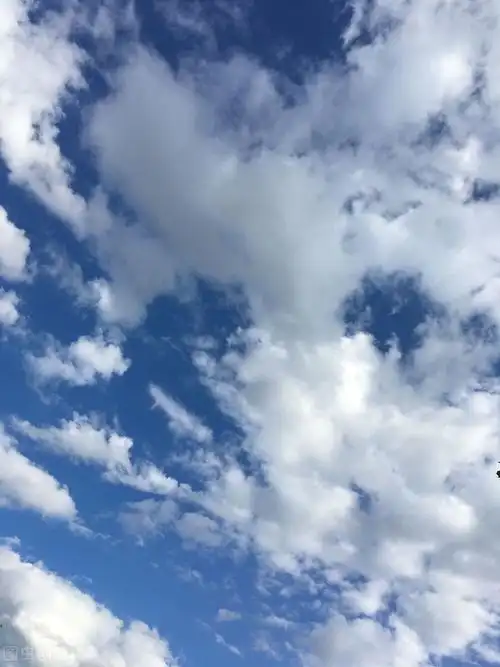 描写天空的唯美句子四排_晶羽文学网