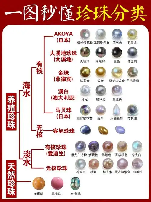 78果断收藏75一图让你秒懂珍珠的分类60