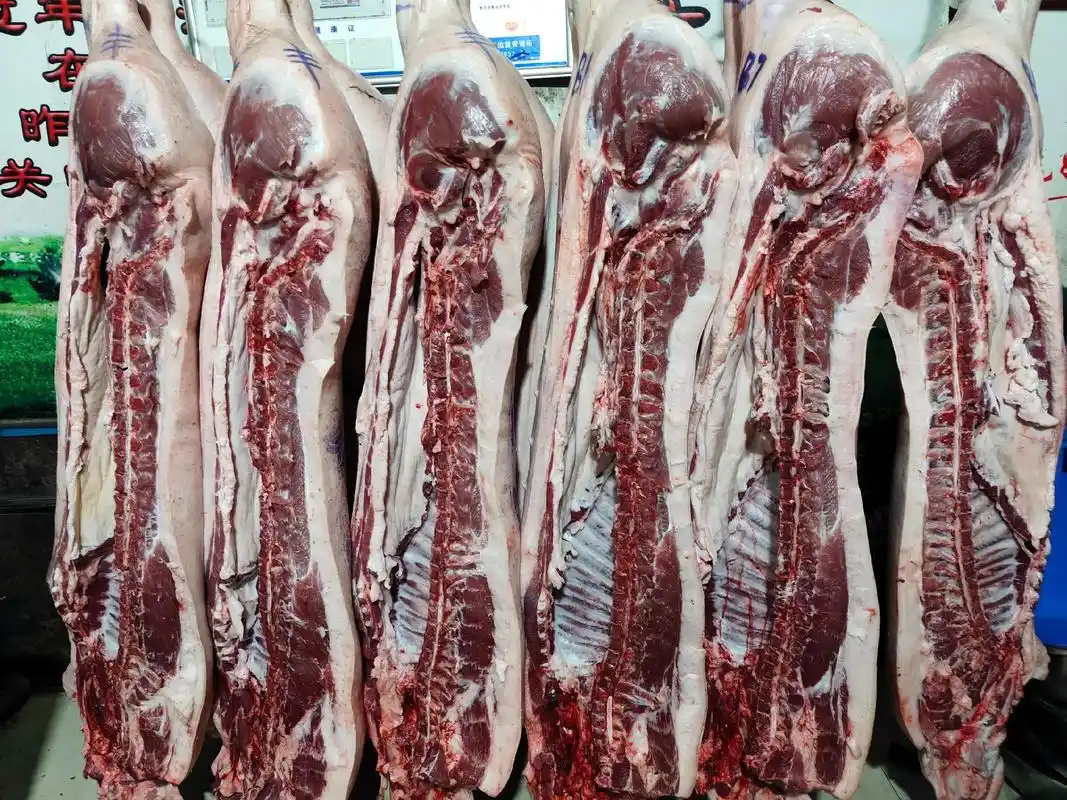 关中黑猪肉批发中心.#关中黑猪 地标性农产品-关中黑猪肉 时 - 抖音