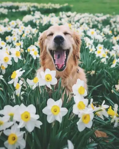 ins治愈 - 堆糖,美图壁纸兴趣社区