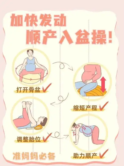 加快发动顺产入盆操