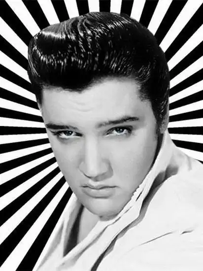 猫王和杰克逊什么关系