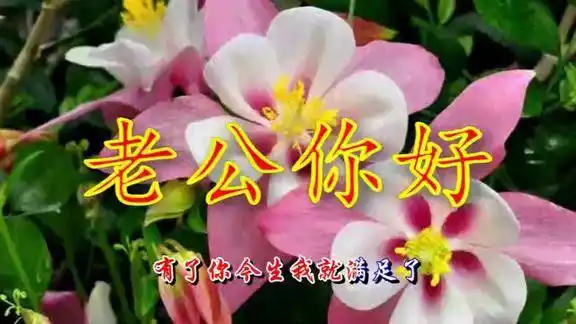 周艳泓一首老公你好听哭了天下无数男人句句贴心好听极了