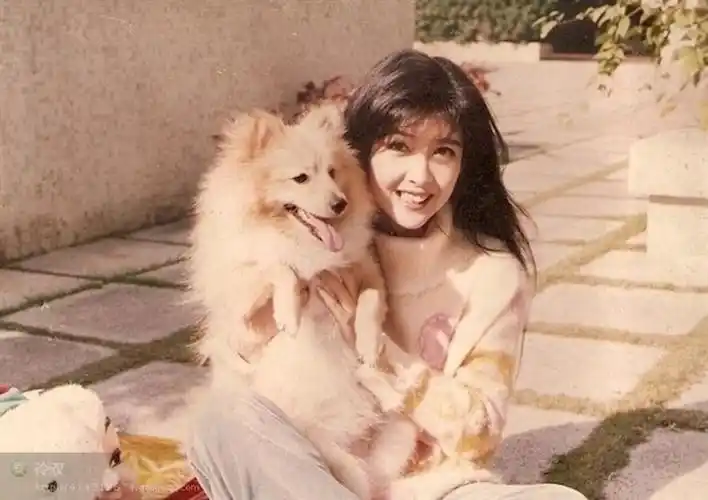 周慧敏 - 堆糖,美图壁纸兴趣社区