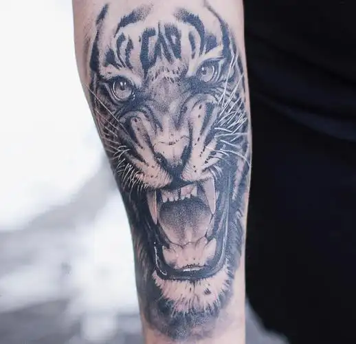 小动物纹身 男生手臂上黑色的老虎纹身图案