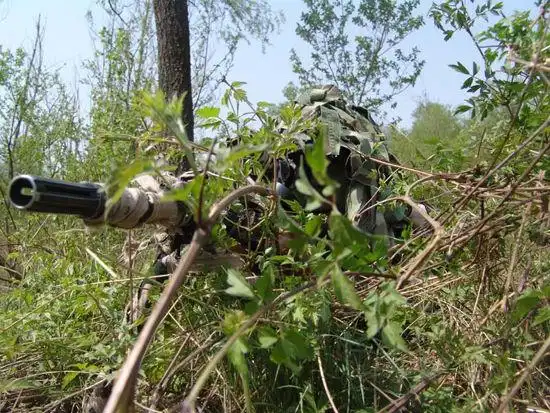 中国军方靠插树枝糊泥巴伪装手段淡出夜战场 - 十一哥的日志 - 网易博