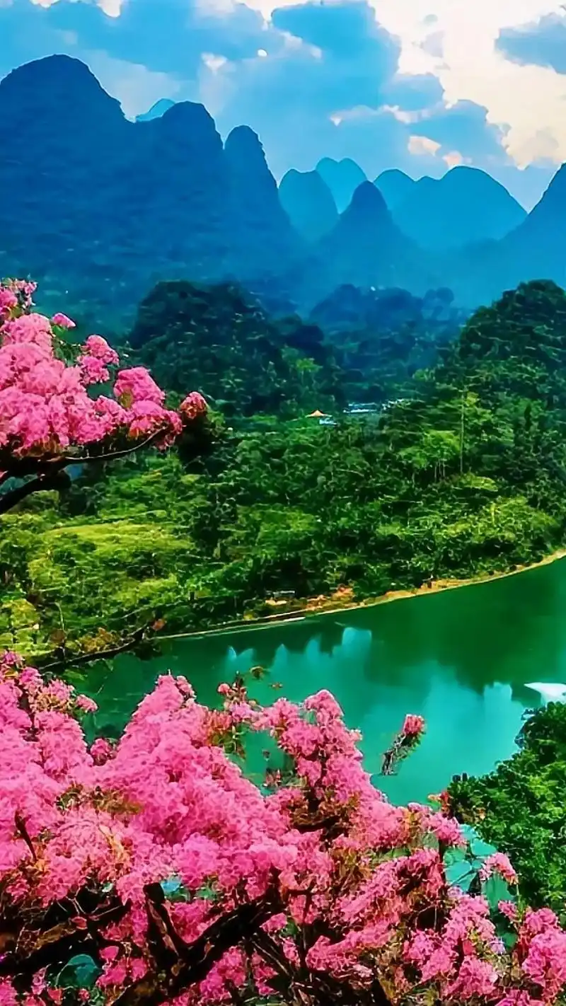 优美的自然风光,山青水秀.苍松翠柏,真乃人间仙境.#抖音图文 - 抖音