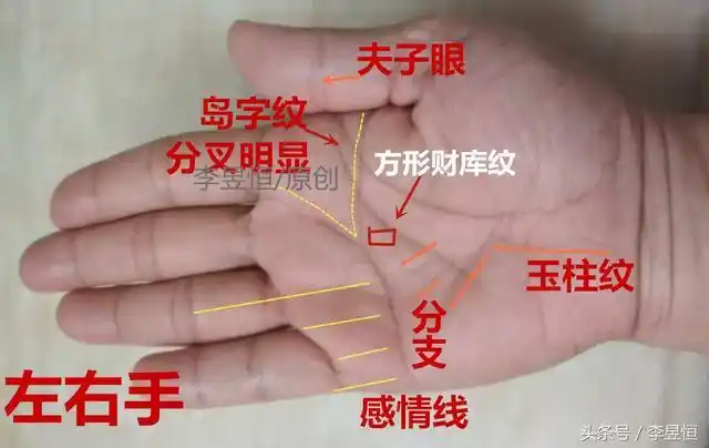 手相中这条线离感情线越远婚姻越晚