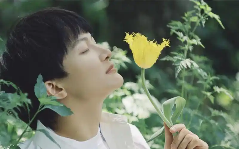 【周深】老二次元了(一)