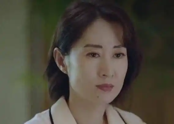 刘敏涛主演的电视剧基本上也都是很火的,你比如上一部跟张嘉译搭档的