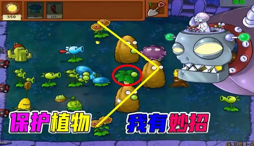 【方块大背头】植物大战僵尸:保护萝卜伞续集,遇到一个赶时间的僵王