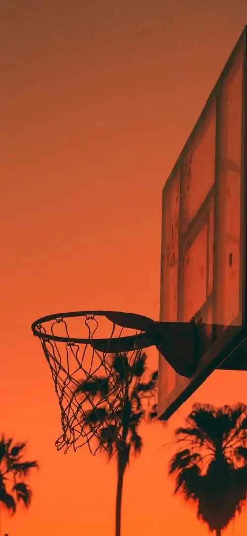 抖音热门壁纸推荐你是vip