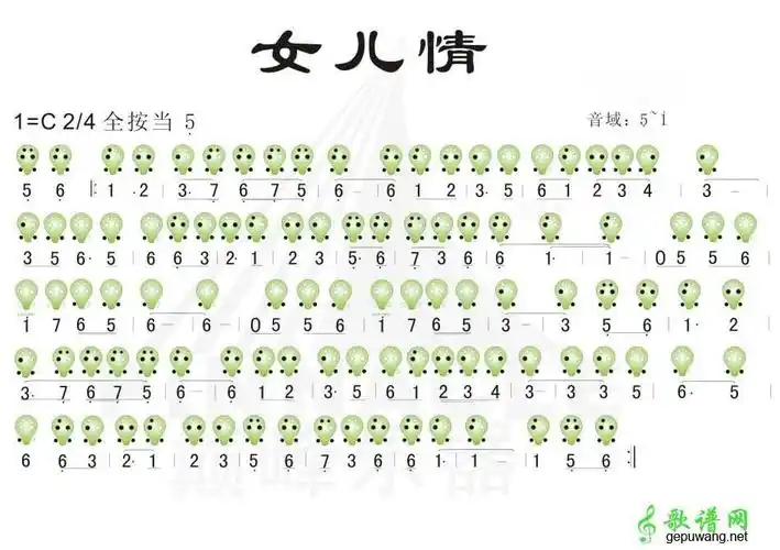 f调笛子简谱女儿情