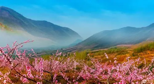 山水风光——桃花盛开的季节(1)