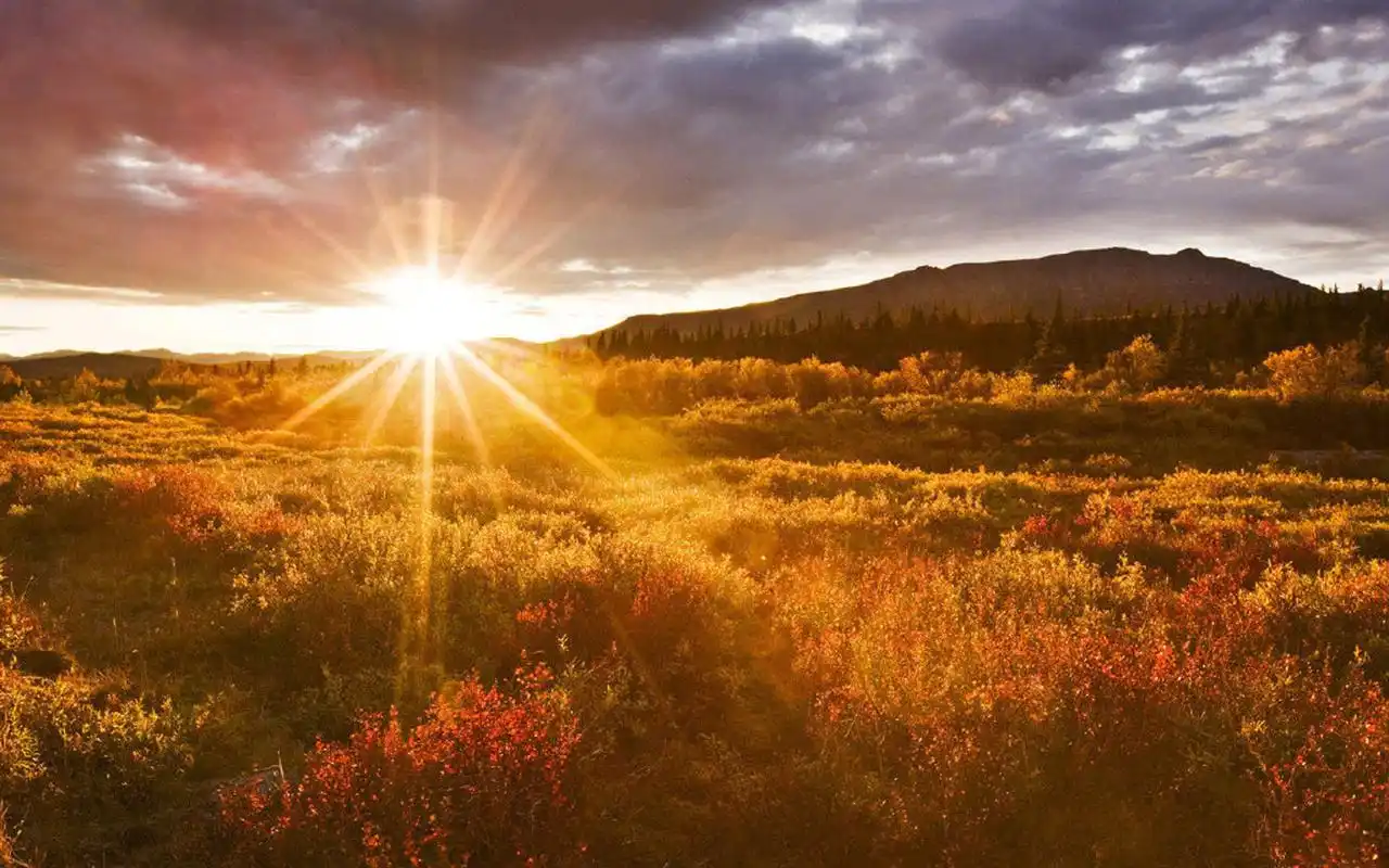 唯美清晨风景图片高清电脑壁纸,风景壁纸,唯美,护眼,高清,阳光,自然