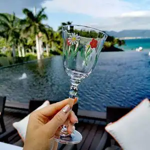 葡萄窖主deesse2021年新款时尚小碎花红酒杯甜酒杯香槟杯 万能款