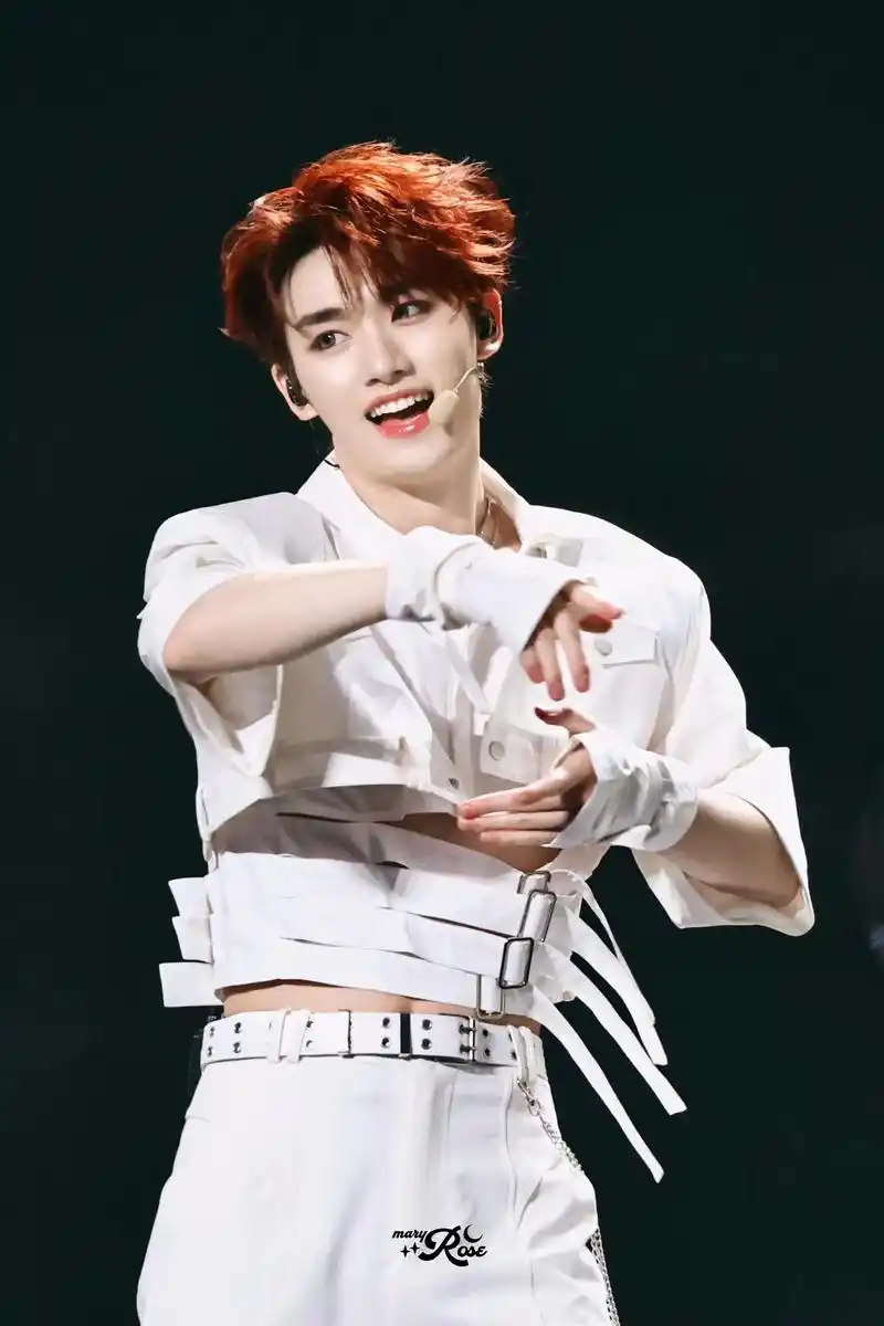 永远爱快乐小狗^_^#丁程鑫 #丁程鑫舞台照 #maryro - 抖音