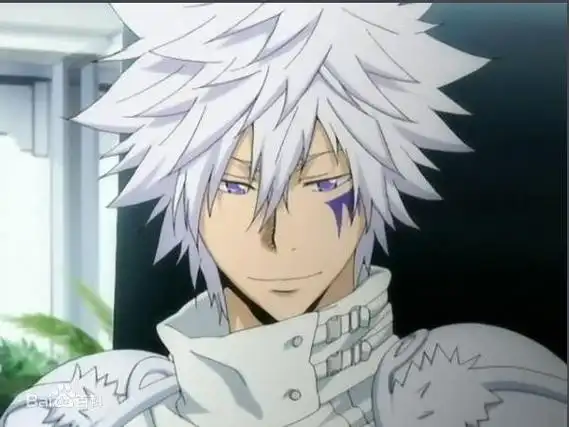 有个银发异瞳脸上有图案的少年是什么动漫的