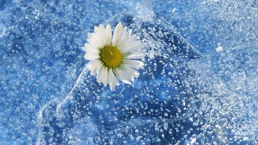 慢点俱乐部第三十三天大餐