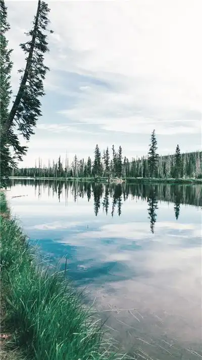 精选放飞梦想的唯美伤感意境图片