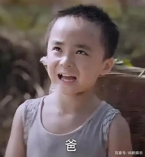 以家人之名:懂事的贺子秋为何如此催泪?长大后他是懂得感恩之人