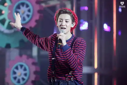 formexoplanet#2 the exo luxion 首尔演唱会 朴灿烈chanyeol 饭拍
