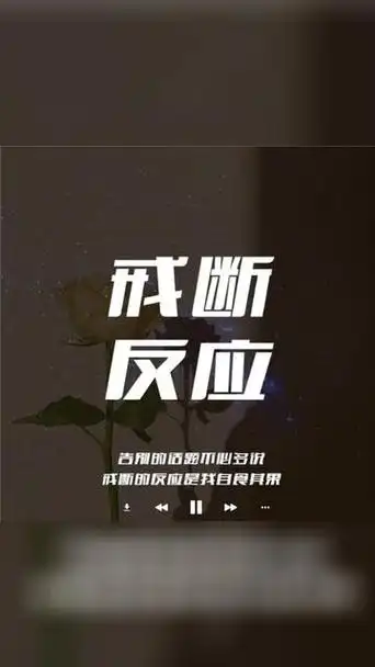 歌曲推荐‖半吨兄弟《戒断反应》