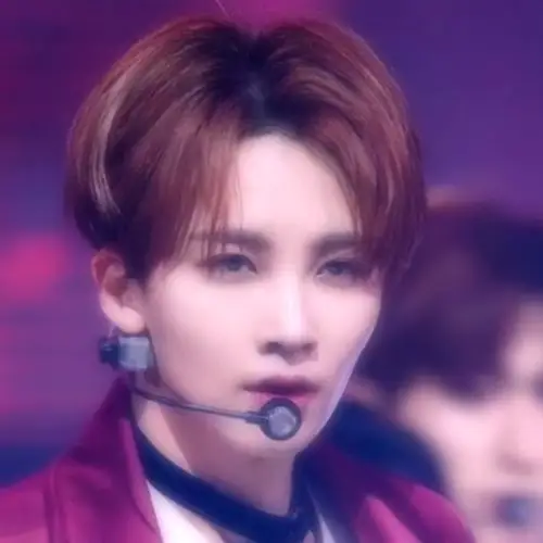 男爱豆头像 seventeen 尹净汉/自修 二传标明我id