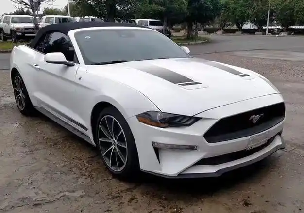 野马最新报价及图片